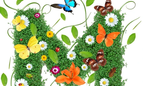 1 74529 original jpg jpeg