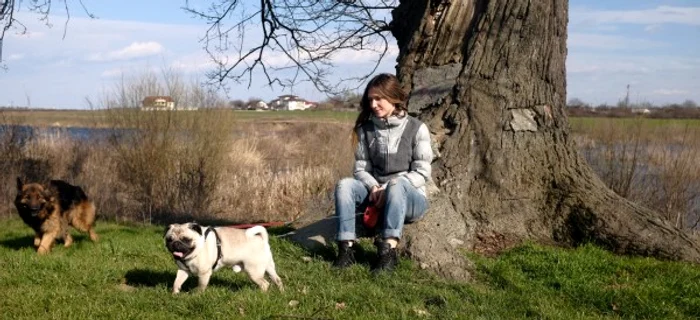 Animale de companie ale vedetelor din România: Adela Popescu (28 de ani) are un ciobănesc german și un mops