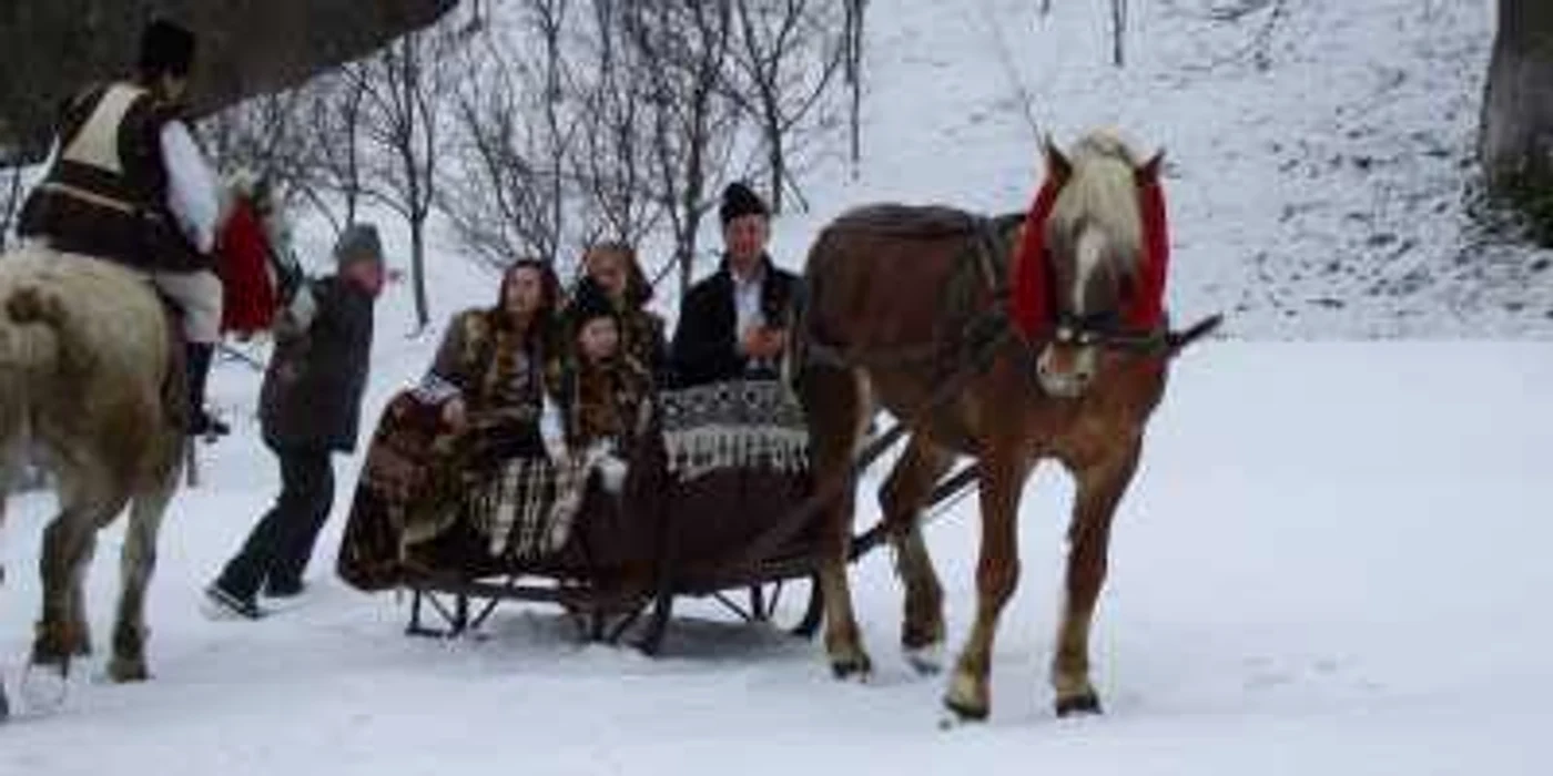 Turiştii sunt plimbaţi cu trăsura trasă de cai de munte