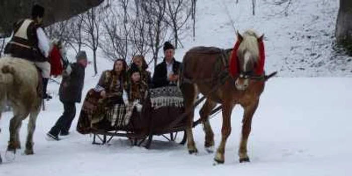 Turiştii sunt plimbaţi cu trăsura trasă de cai de munte