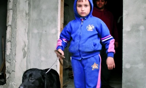 1 47396 original jpg jpeg