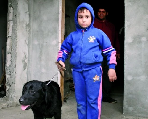 1 47396 original jpg jpeg