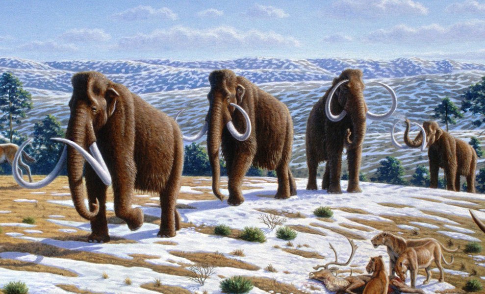 Ideea excentrică a unui miliardar rus: vrea să transforme tundra siberiană într-un tărâm al mamuților