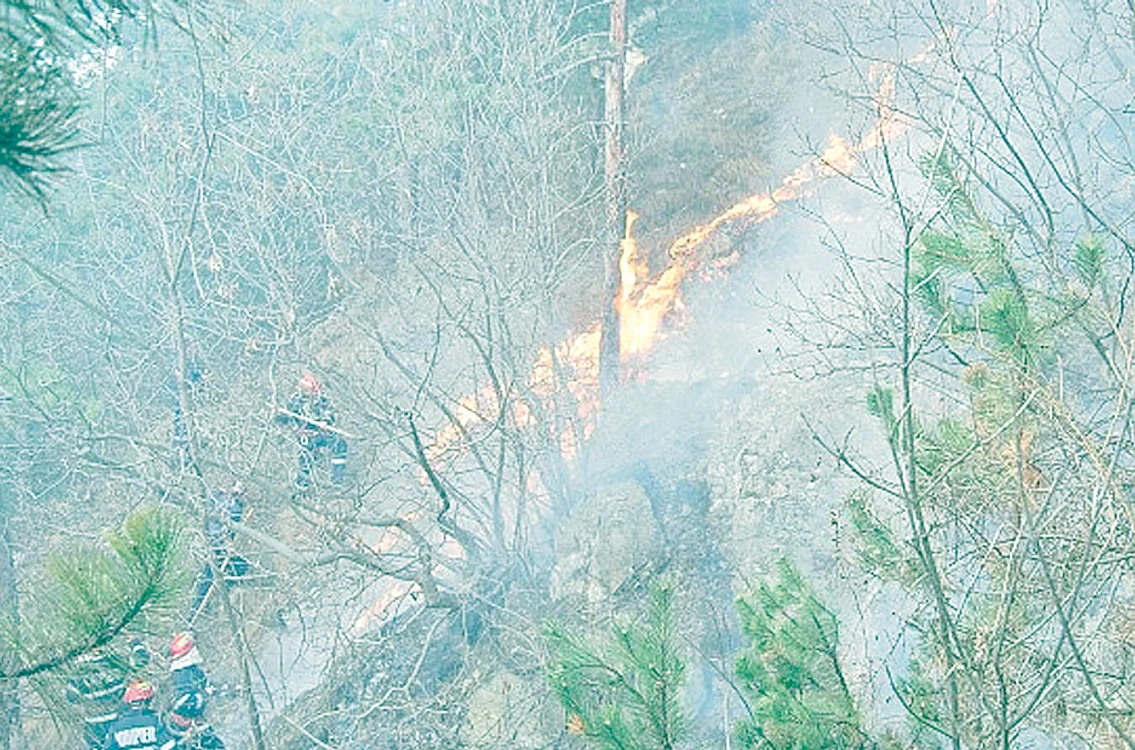 Făcările au cuprins sute de hectare  de pădure şi au fost stinse cu saci  cu apă şi saci umpluţi cu un praf  special, aruncaţi din elicopter