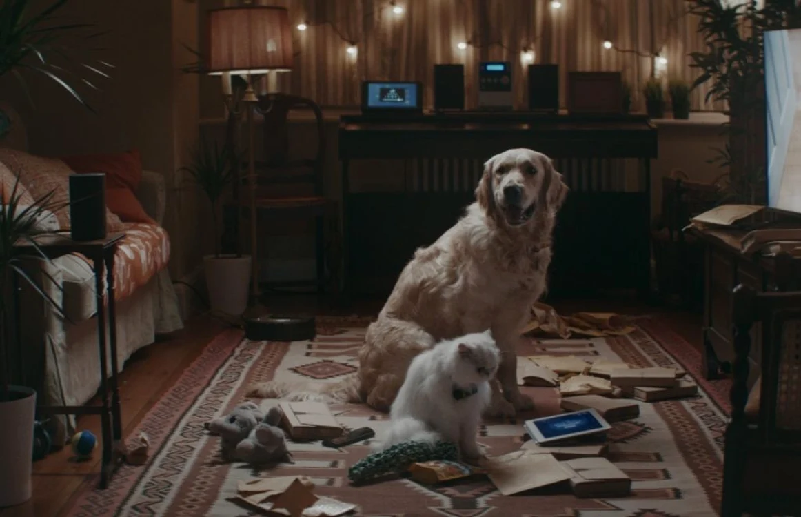 kaspersky animale de companie
