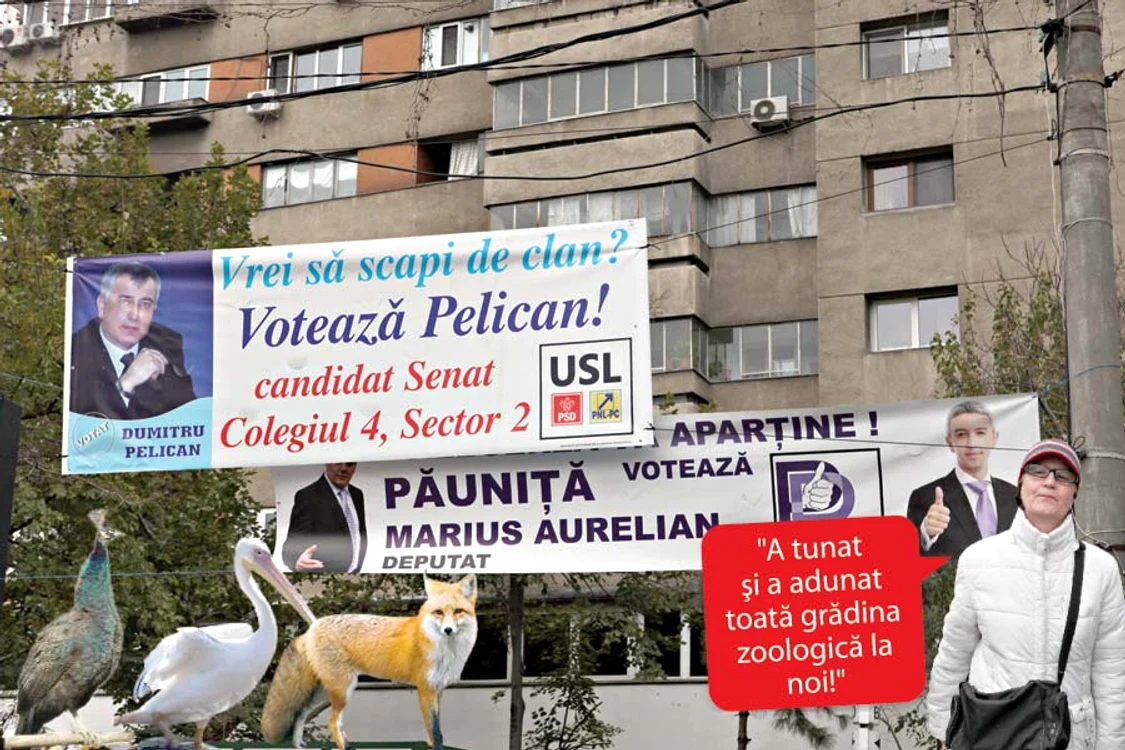 
    Candidaţi cu nume nostime se întrec în alegeri  