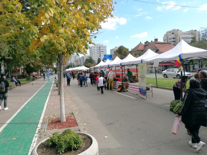 Producătorii au început să-și instaleze standurile încă de vineri FOTO: Alian Mitran