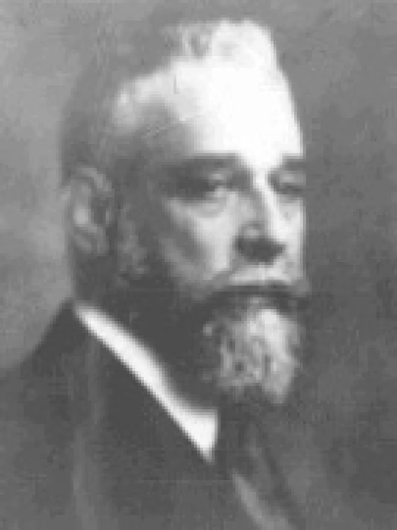 dinu bratianu