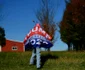 alegeri statele unite 2020. FOTO Guliver-Gettyimages