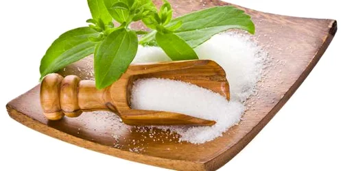 stevia planta indulcitor shutterstock