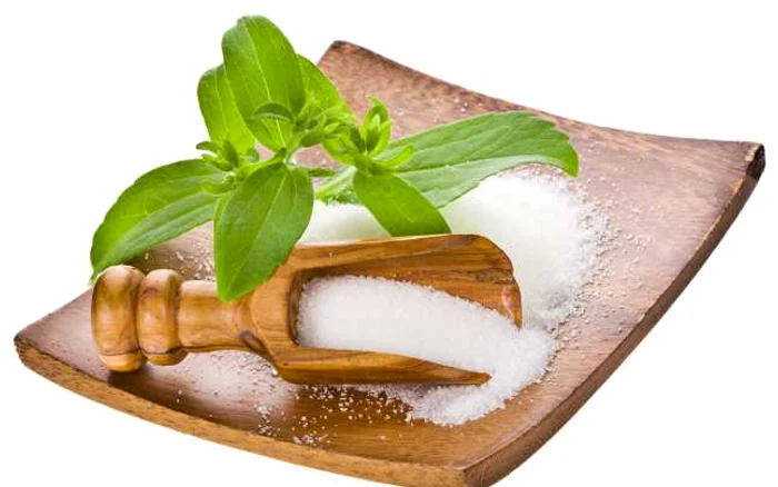 stevia planta indulcitor shutterstock