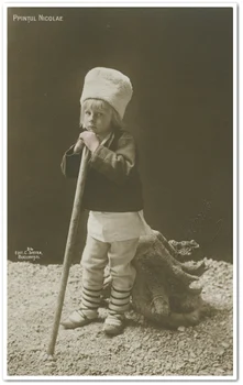Principele Nicolae (© ANR, SANIC, Colecția Documente fotografice, FI 7646)