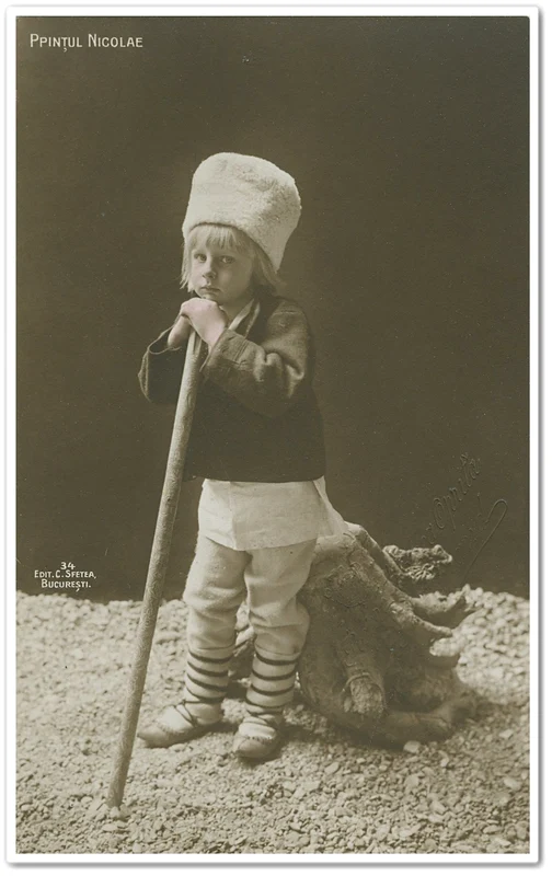 Principele Nicolae (© ANR, SANIC, Colecția Documente fotografice, FI 7646)
