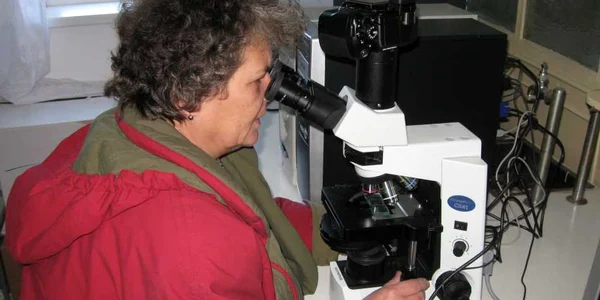 Dr. Ing. Elena Fecioru lucrează în cercetare ştiinţifică de 27 de ani