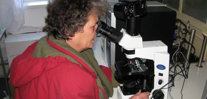 Dr. Ing. Elena Fecioru lucrează în cercetare ştiinţifică de 27 de ani