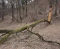 cetatea dacica de la costesti foto daniel guta adevarul