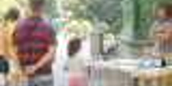Insignele cu Brâncuşi, atracţie pentru străini