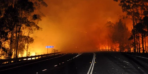 incendiu New South Wales AFP