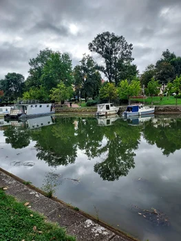 Activitate pe Bega FOTO Siky Marko
