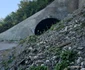 Tunelurile feroviare de pe Valea Mureșului  Foto Daniel Guță  ADEVĂRUL (6) jpg