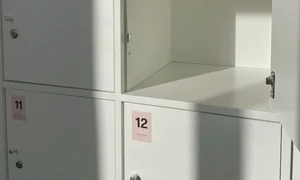 31 10 vestiar metalic 2  jpeg