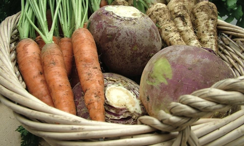 1 72470 original jpg jpeg