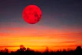 luna sangerie profetii jpeg