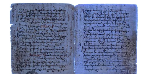 339980242 530154795862458 3508762901622573768 n jpg