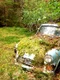 ford anglia 1 jpg