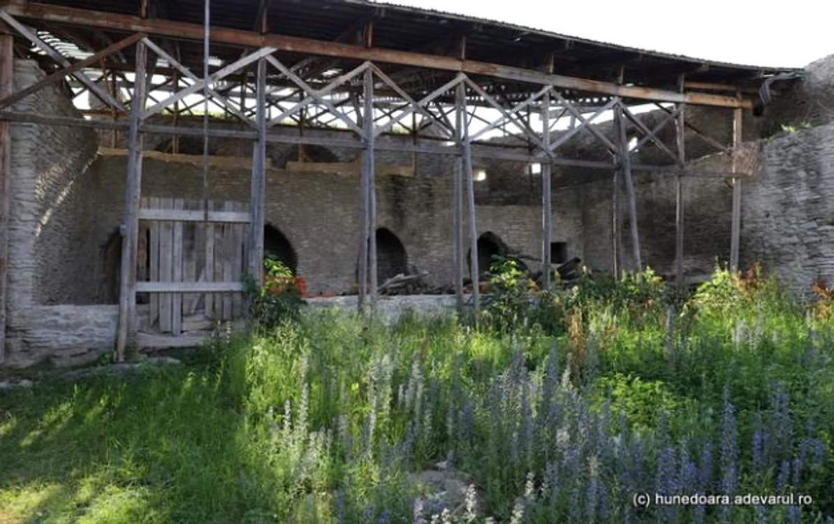 Cetatea Devei, înainte de lucrări. Foto: Daniel Guță. ADEVĂRUL