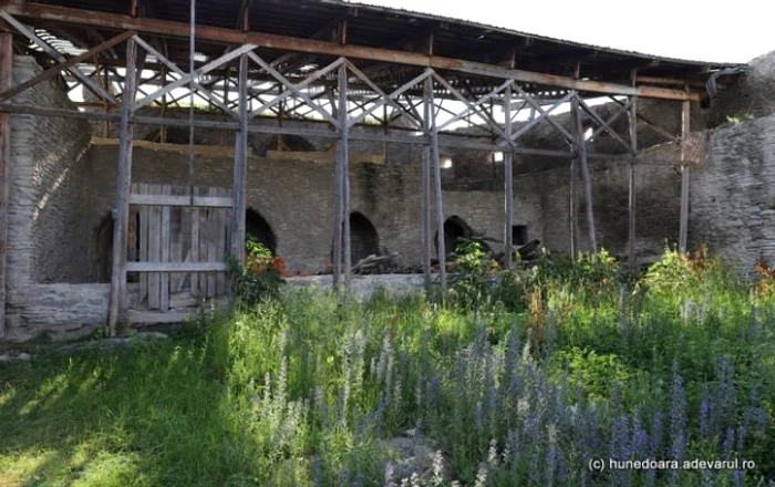 Cetatea Devei, înainte de lucrări. Foto: Daniel Guță. ADEVĂRUL