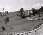 Muntii Apuseni Foto Viorel Simionescu (7) jpg