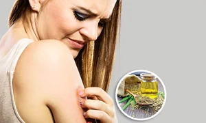 canepa30 31 sanatate 414425 jpeg