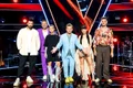 Vocea României, din nou lider de audiență la PROTV