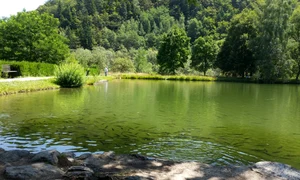 7 manastirea brancoveanu sambata de sus lac jpg jpeg