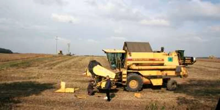 Până acum au fost depuse doar 50 de cereri