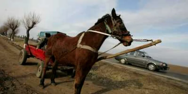 Foto arhivă Adevărul