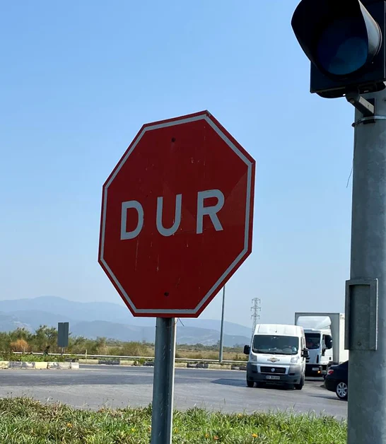 © M. Pleșu