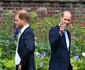 Prințul William și Prințul Harry
