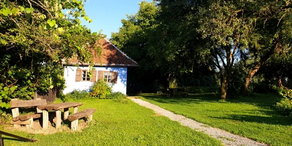 Micloşoara