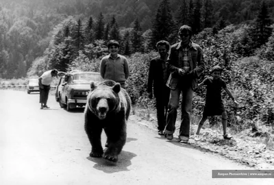 Transfagarasan in anii 70  Sursa Azopan (1) jpg