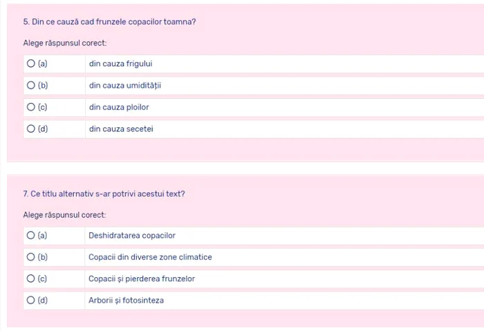 Exemplu de subiect clasele V - VI