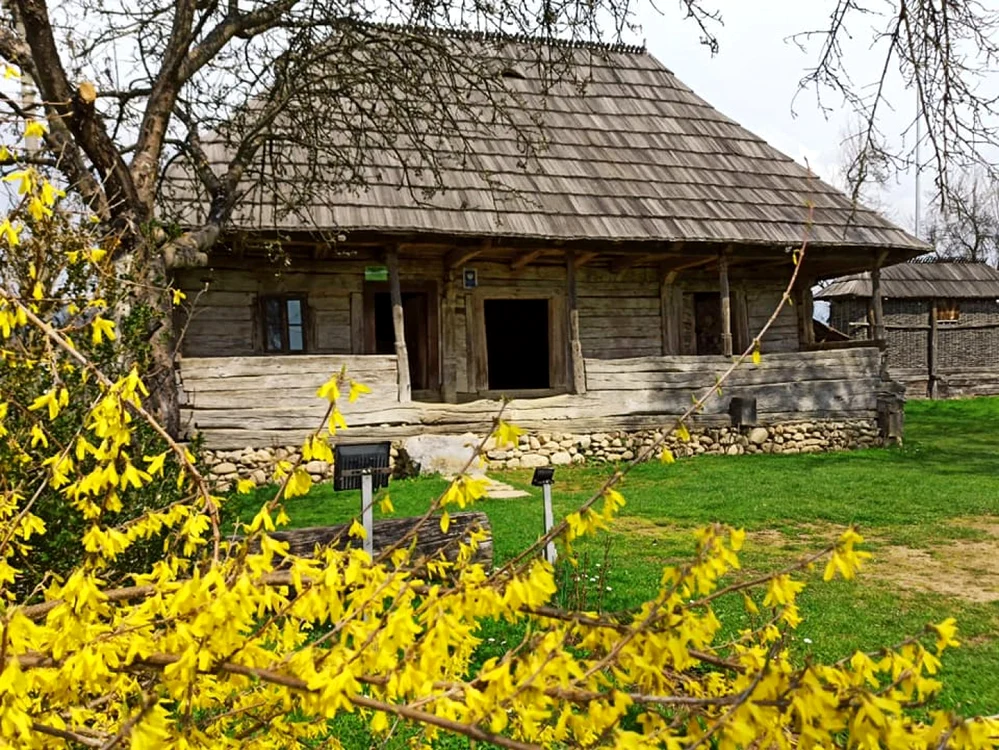 Casa Muzeu Constantin Brâncuşi este vizitată de peste 10.000 de turişti                  Foto: Discover Peştişani