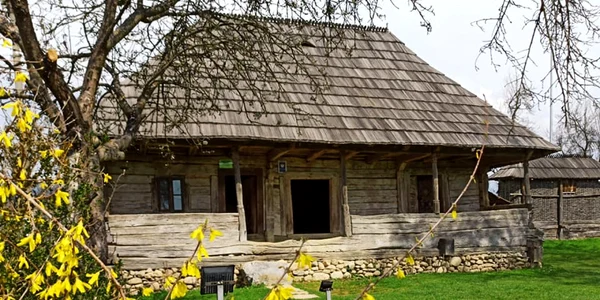casa muzeu brancusi foto