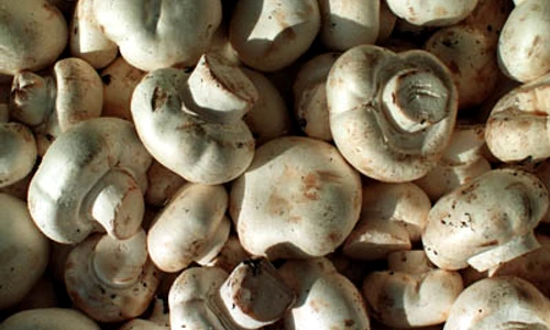 1 70157 original jpg jpeg