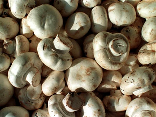 1 70157 original jpg jpeg