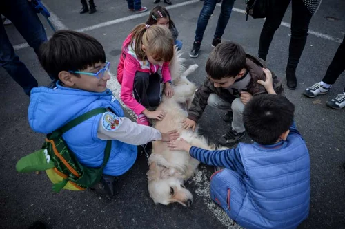 2 mars impotriva violentei fata de femei bucuresti foto mediafax