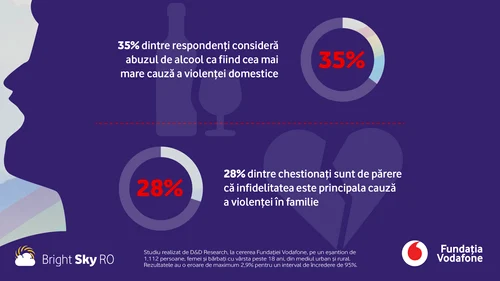 Abuzul de alcool este considerat cea mai mare cauză a violenței domestice