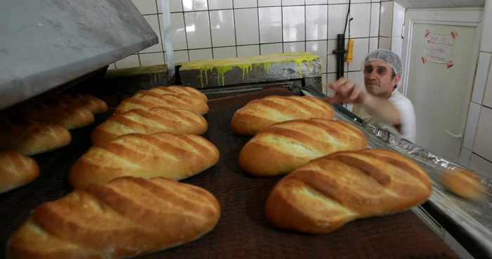 O antreprenoare din Timişoara îi avertizează pe tineri că în afaceri pragmatismul este mai important decât sentimentele FOTO Arhivă