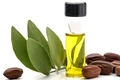 Jojoba oiljpg jpg jpeg
